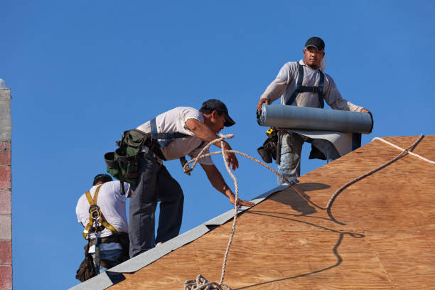 Best Roof Maintenance Services  in White Sulphur Springs, MT